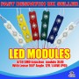 200 x 3 LED Red 5730 SMD Injection Module With Lense  IP65 LED Strip Light
